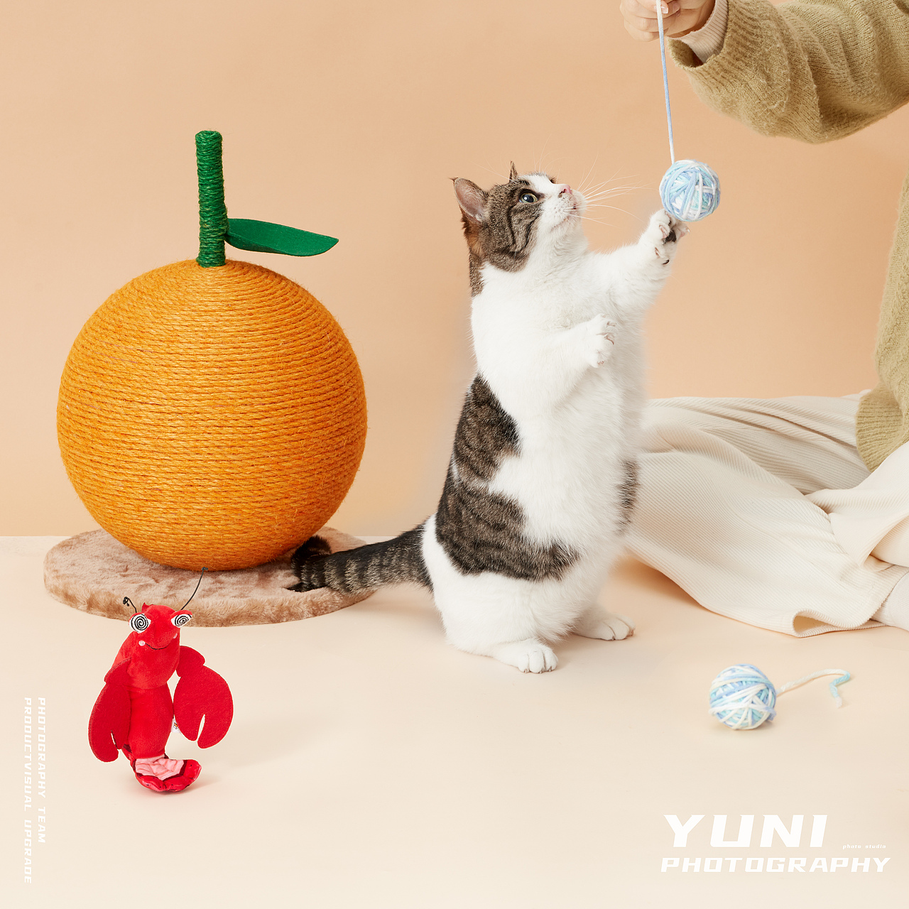 天猫.猫享自营 ✖ YuNi  宠物频道合集