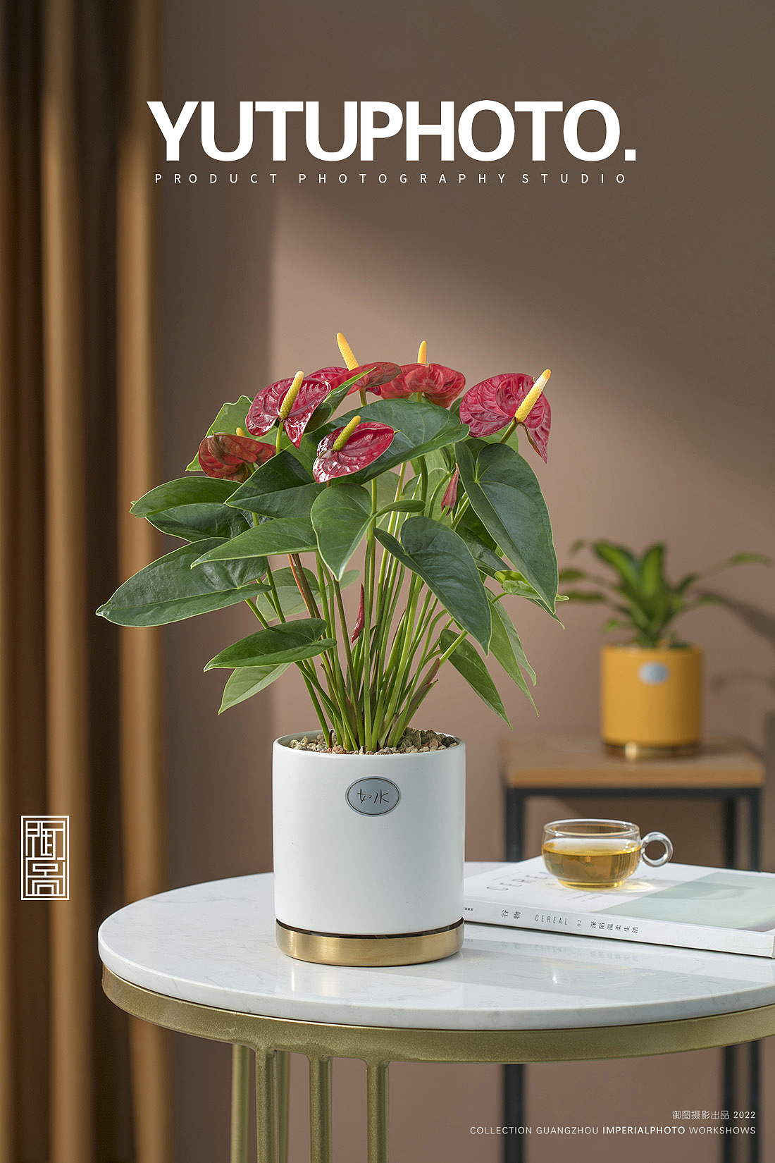 静物摄影丨小清新的绿植盆栽