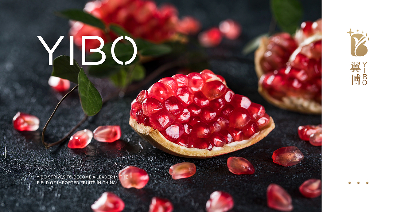 【翼博YIBO】水果品牌设计