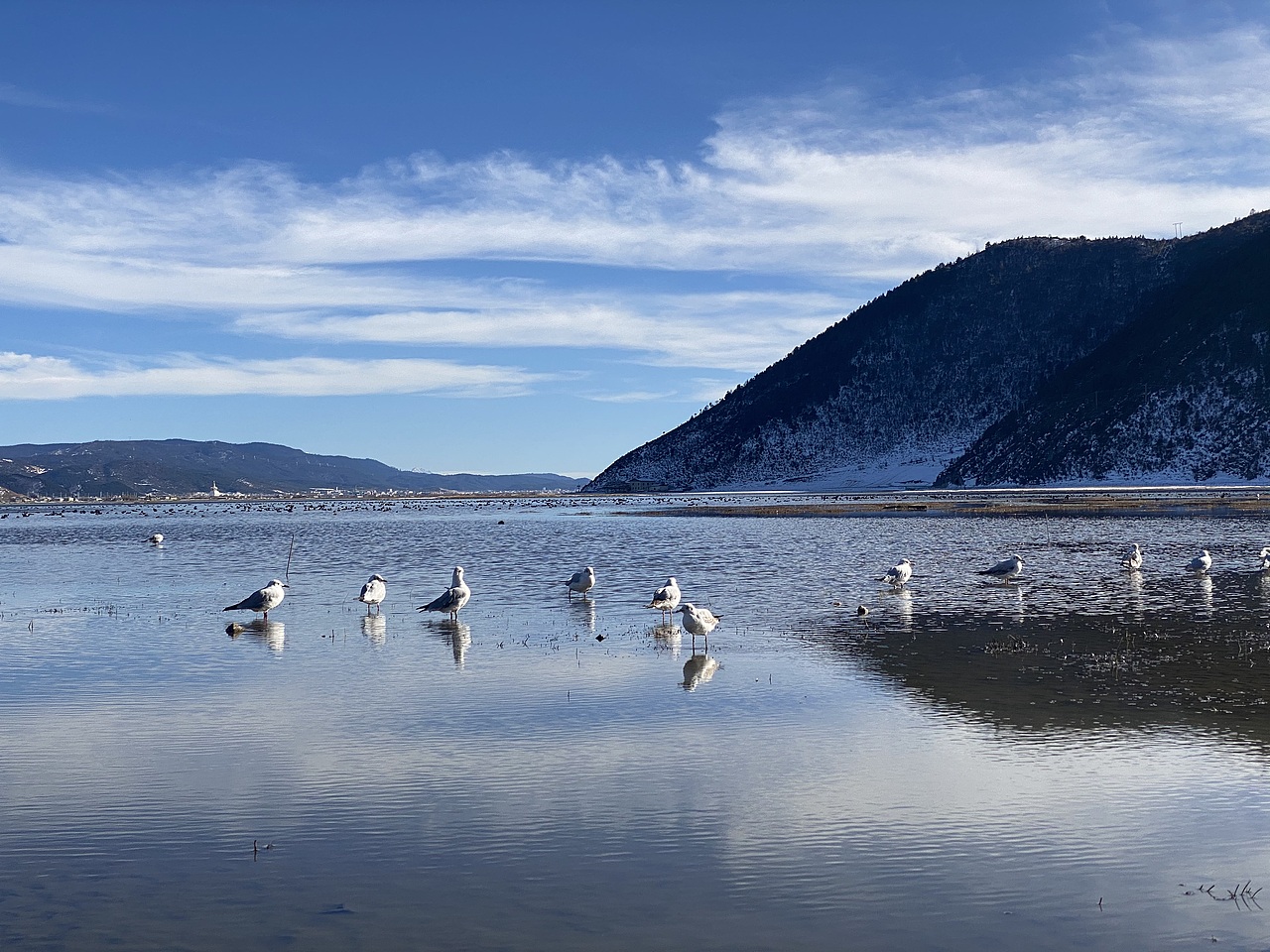 图多下饭看,香格里拉一日游