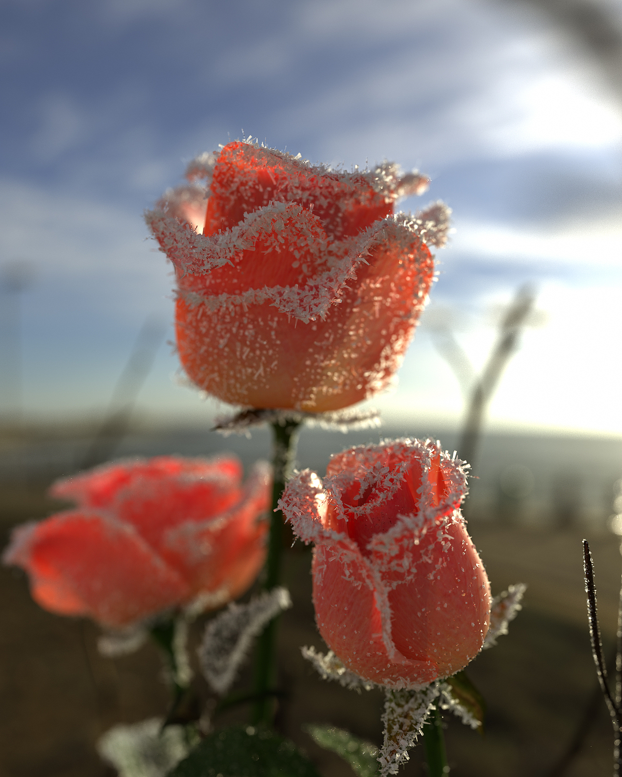 C4D渲染原创自然场景（图ZMzMyMDIzMzA4） - 场景 - 站酷设计师林大蛋原创素材 - 站酷ZCOOL