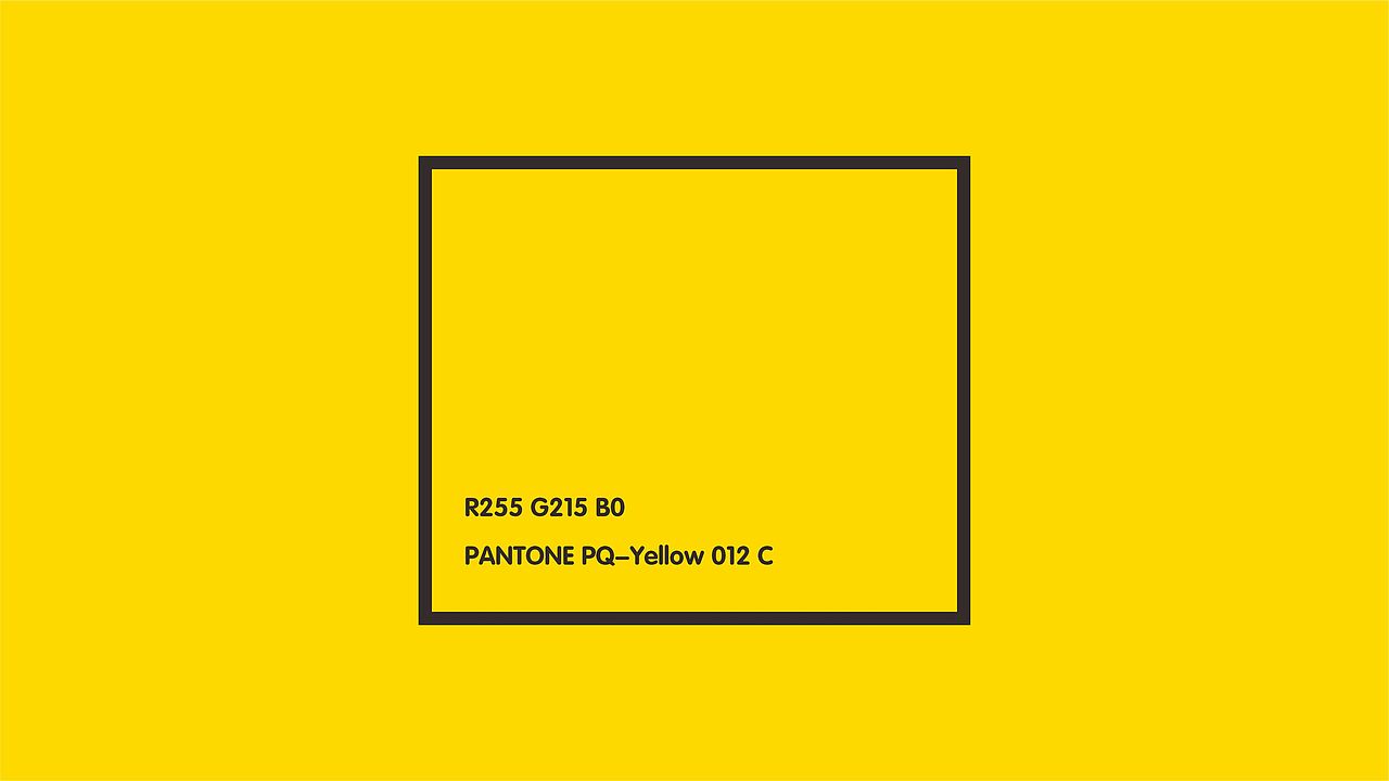 鸭吖吖品牌全案策划设计