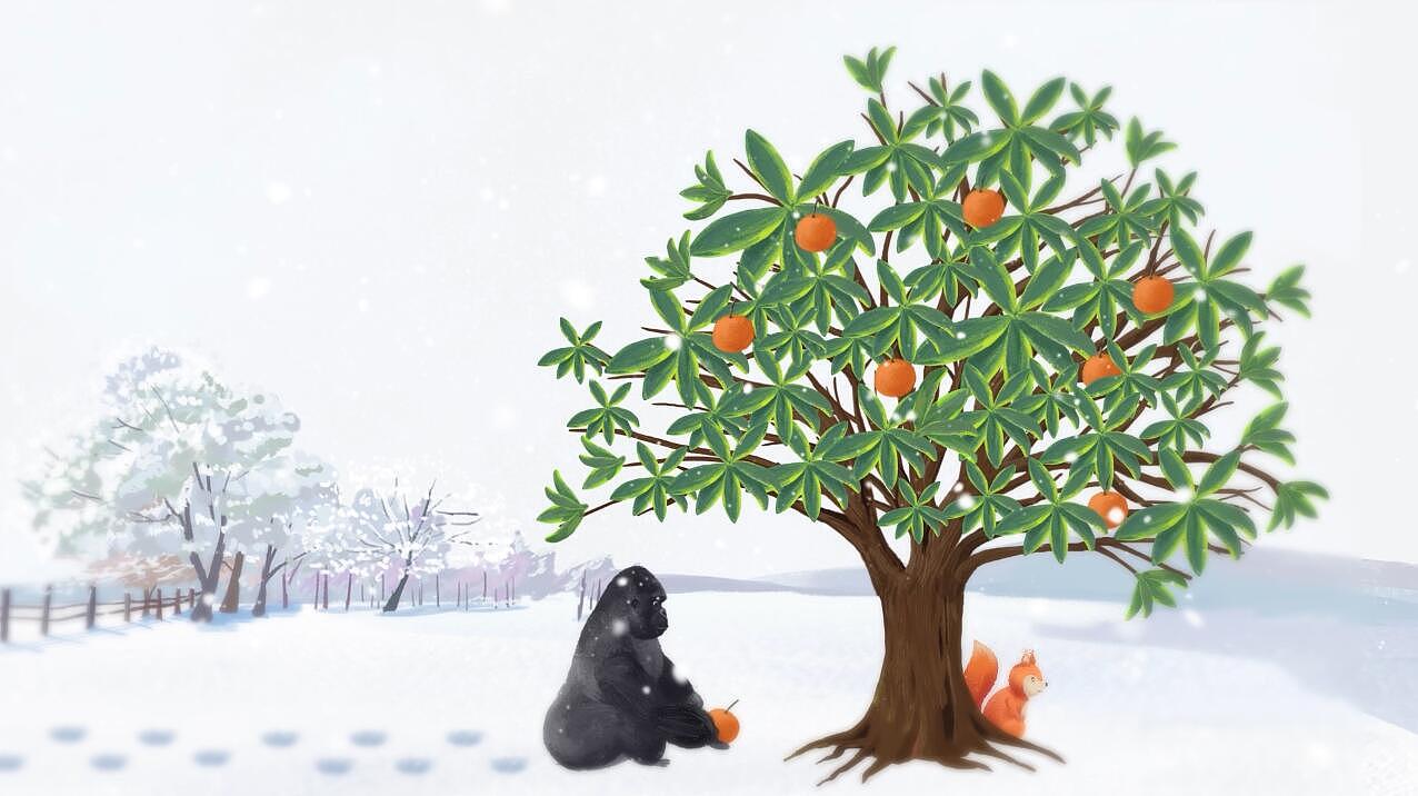 雪景大猩猩MG短片（图ZMzIzMzM5NTM2） - 动效设计 - 站酷设计师洁Janie原创素材 - 站酷ZCOOL