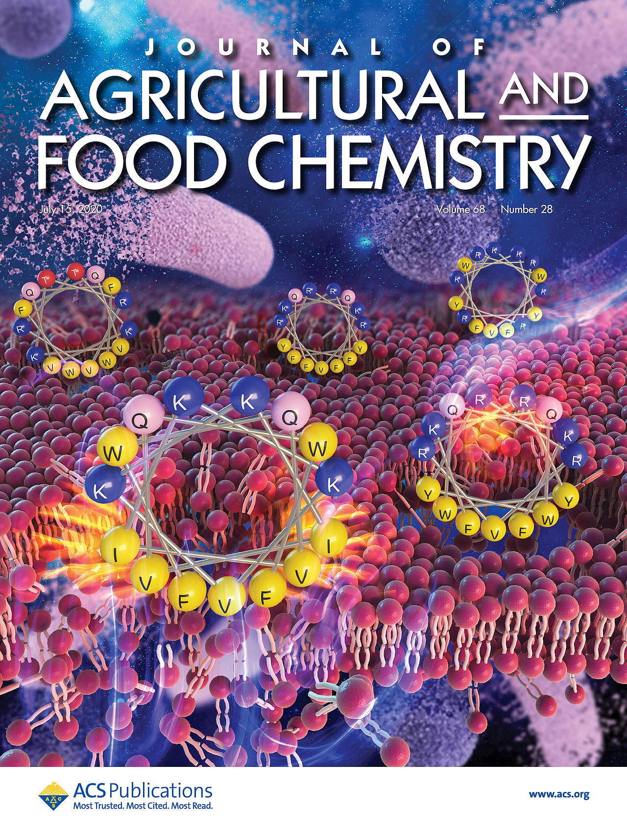 SCI期刊封面设计作品（图ZMzA4MzE4NTM2） - 产品 - 站酷设计师邦图文化原创素材 - 站酷ZCOOL