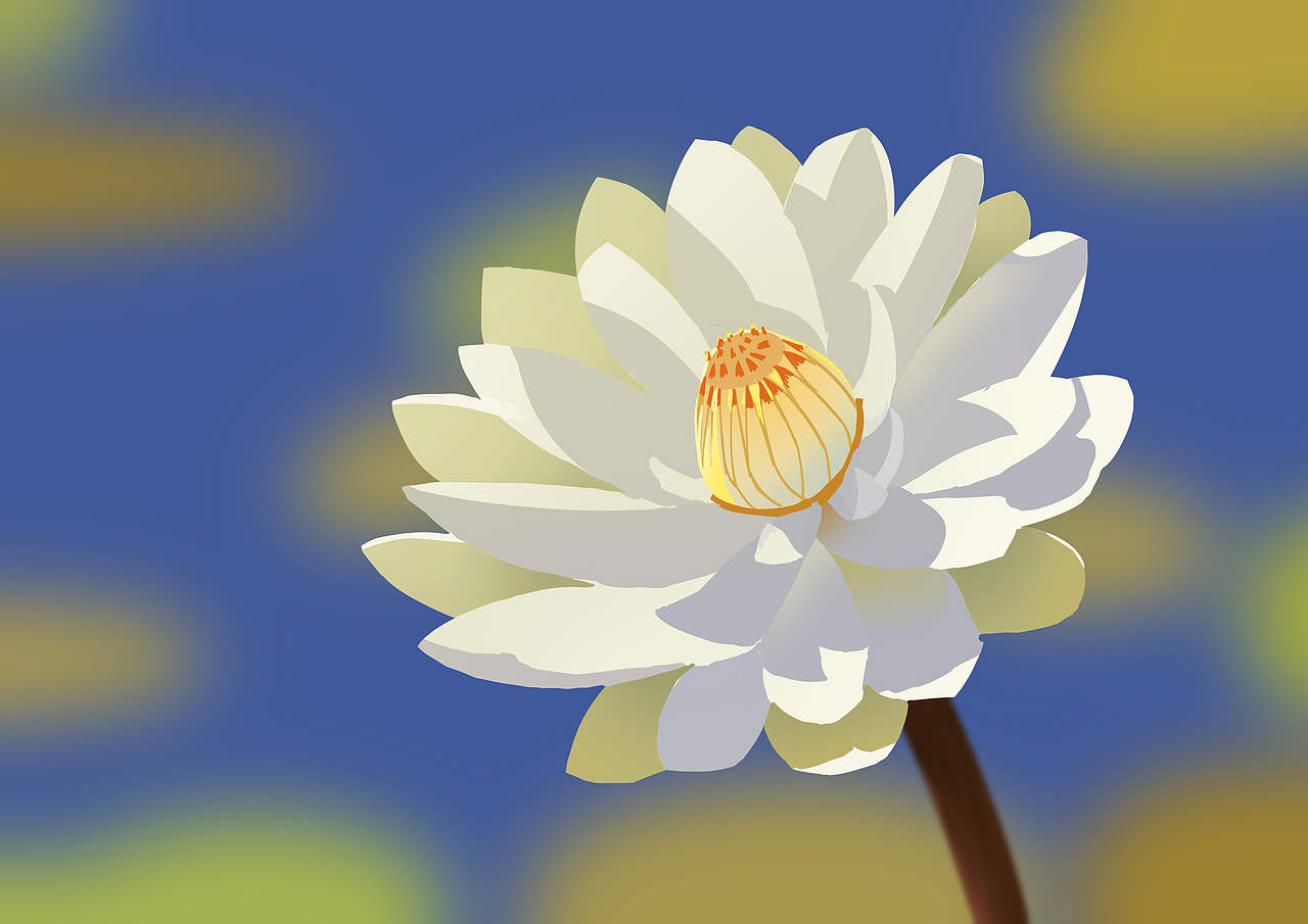 速涂作业合集（图ZMzM1Mzg1ODIw） - 创作习作 - 站酷设计师小黑不太白原创素材 - 站酷ZCOOL