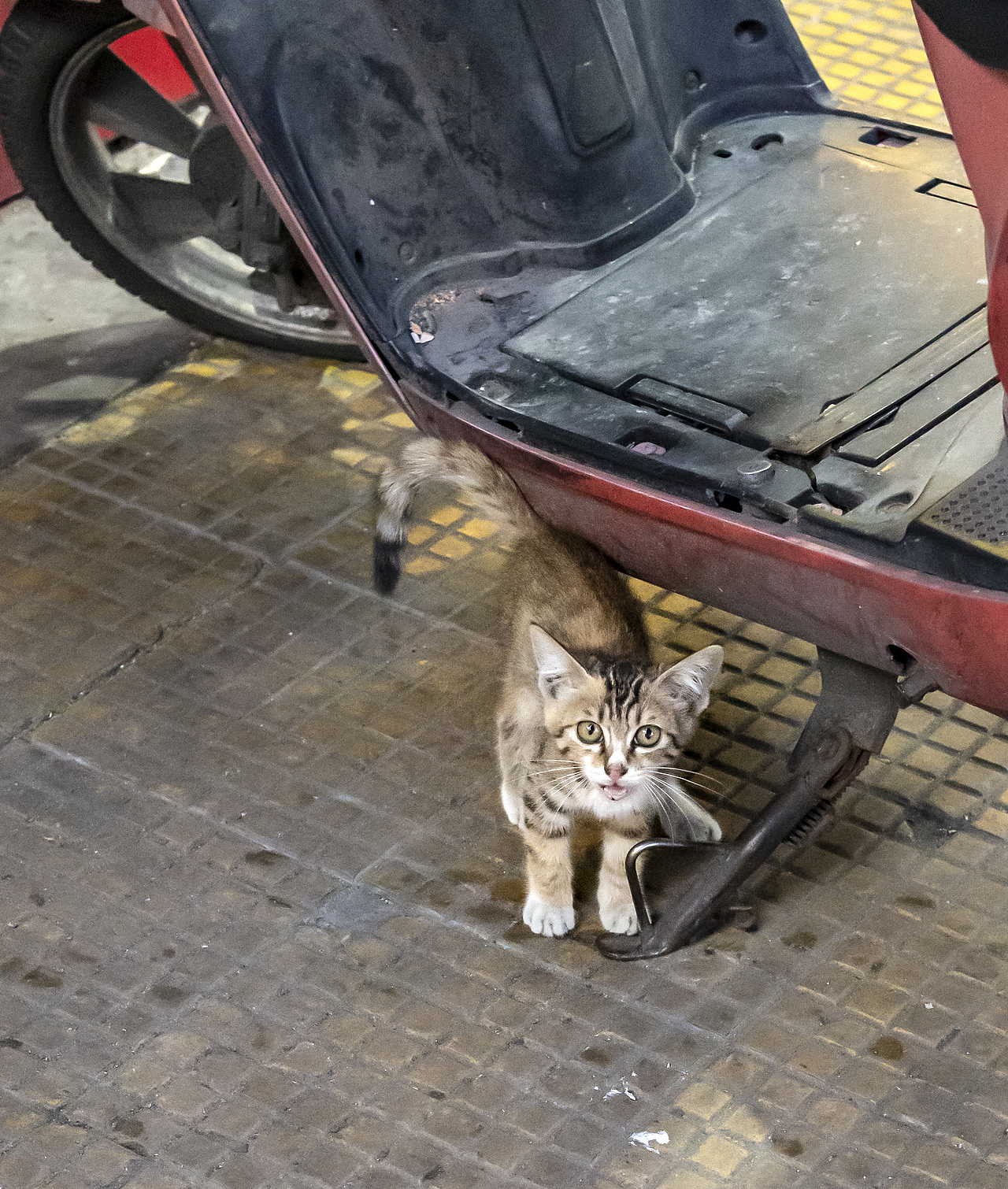 漳州小城6月扫街合集