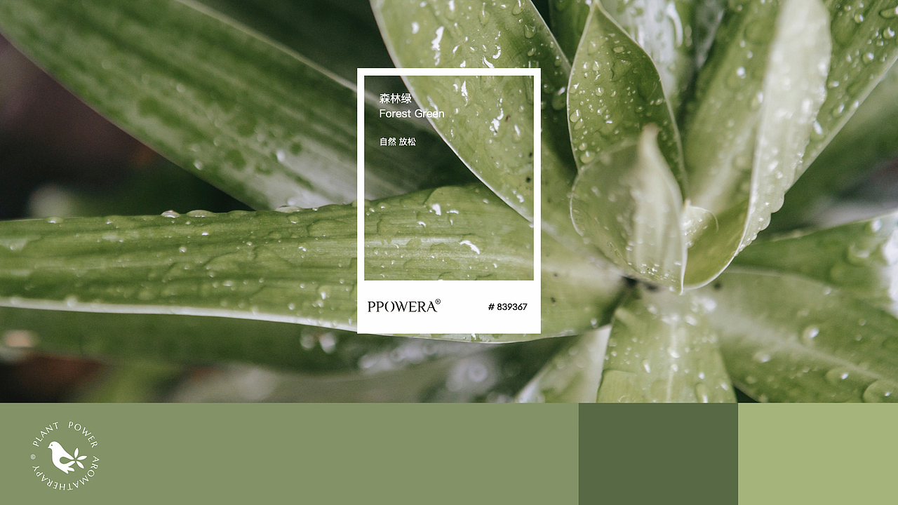 PPOWERA©本草流动力 品牌设计（图ZMzQxMjc5ODc2） - 品牌 - 站酷设计师NoPlanDesign原创素材 - 站酷ZCOOL