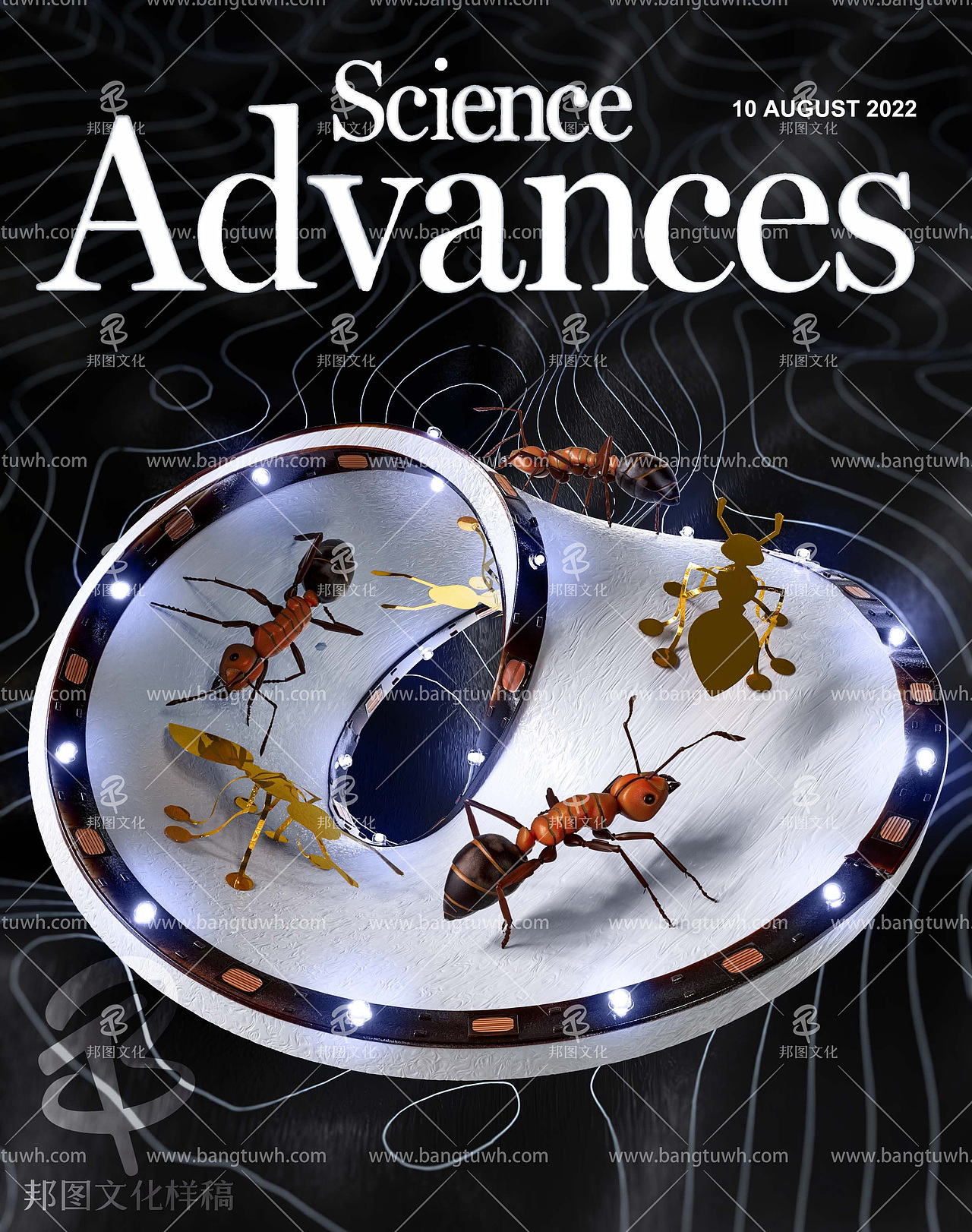 医学插画 学术期刊封面设计 科研绘图