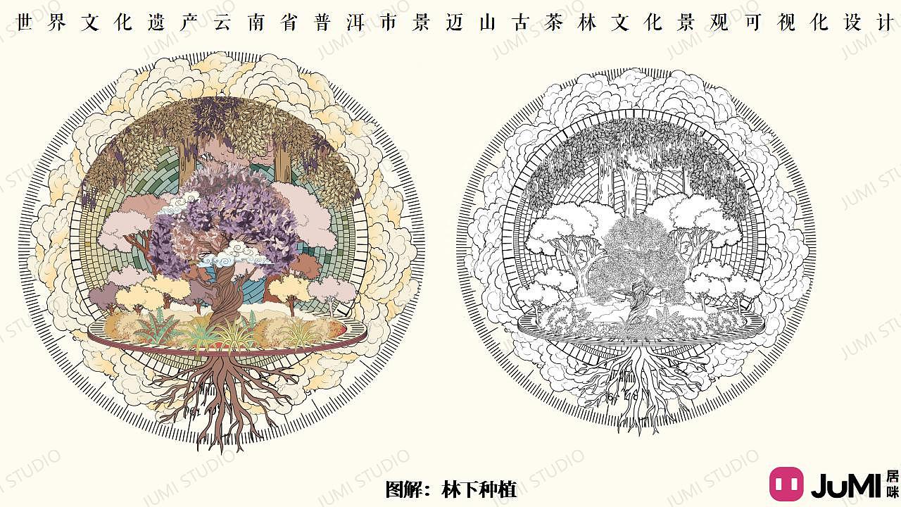 世界茶源·数说景迈 云南省景迈山信息可视化设计（图ZMzU2NTY0NTI4） - 信息图表 - 站酷设计师咪居JUMISTUDIO原创素材 - 站酷ZCOOL