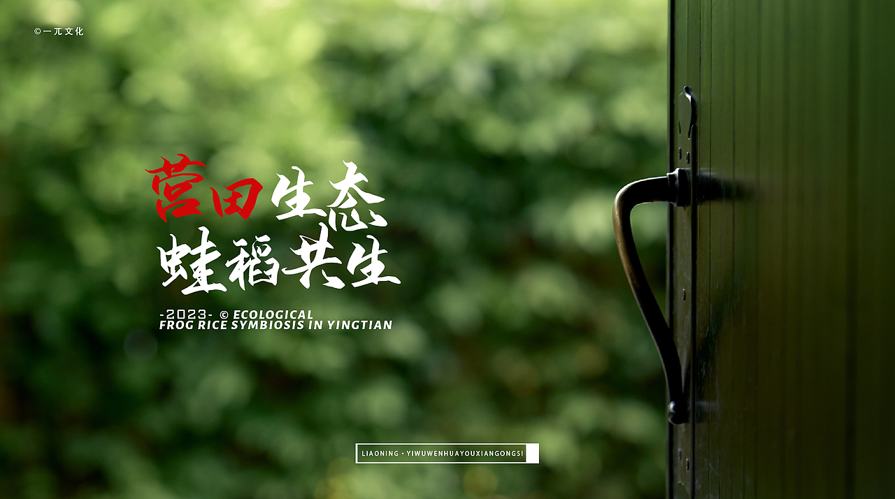 一pai文化 | 大米包装【营田米业】