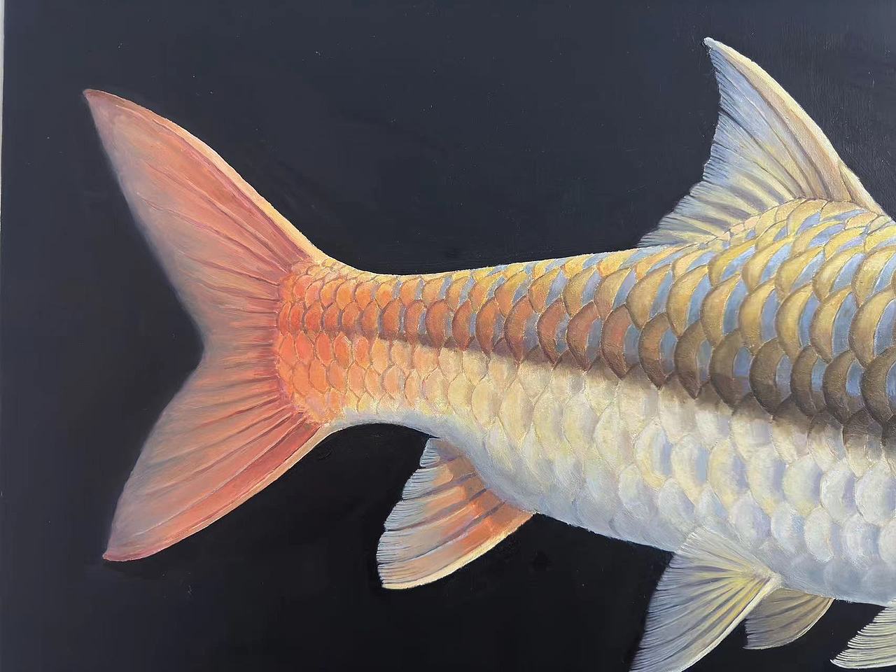 吉罗鱼（图ZMzY2NTgyMzA0） - 绘画 - 站酷设计师雷娄煤原创素材 - 站酷ZCOOL