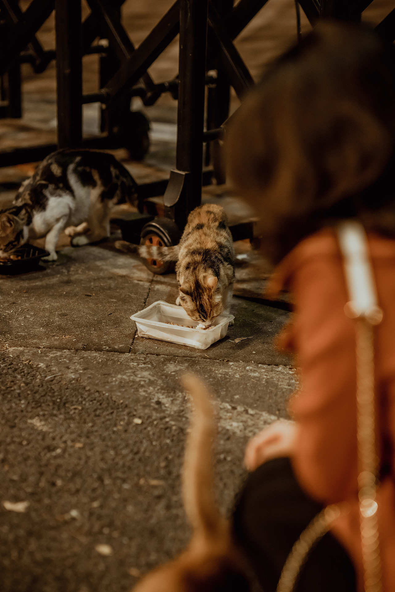 2023初-人像摄影