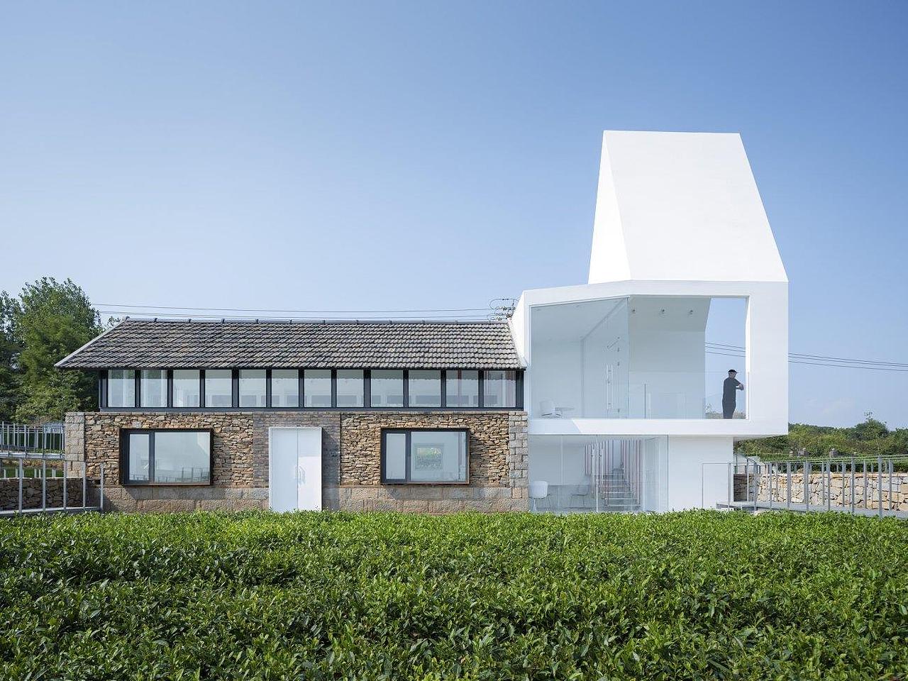 巨峰镇的朝元山,是日照绿茶的主要产区之一,朝元山前为丘陵地带,大面积茶田顺南北山势铺陈而来。在东部空旷的茶田里有一处残破的民居,是一栋有着五十年历史的石头院落,老房子三分之一已经倒塌,留下的石屋充满历史感,院子里长满茶树,因为是围合的院子,在冬季,能挡住凛冽的北风,所以茶树比周边茶田里的长势都要好。老房子是一户茶农的旧居,他们曾经在这里居住,打理茶田,炒制茶叶,那时,必定是炊烟袅袅,茶香四溢。老屋虽然残破,却一直守望着这片希望的田野,如今,人去屋闲,它也似乎期待着被赋予新的生命力,成为一个新的田园守望者。
<br><br><br><br>▼从东南望向茶馆