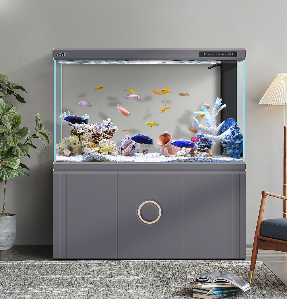 鱼缸（图ZMzM0Mzc0MjI0） - 电商 - 站酷设计师LANNE兰原创素材 - 站酷ZCOOL