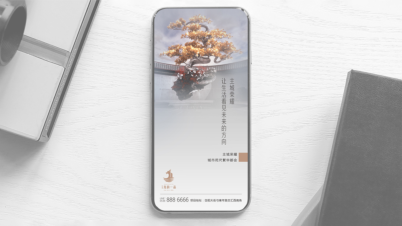 东海龙韵一品项目方案