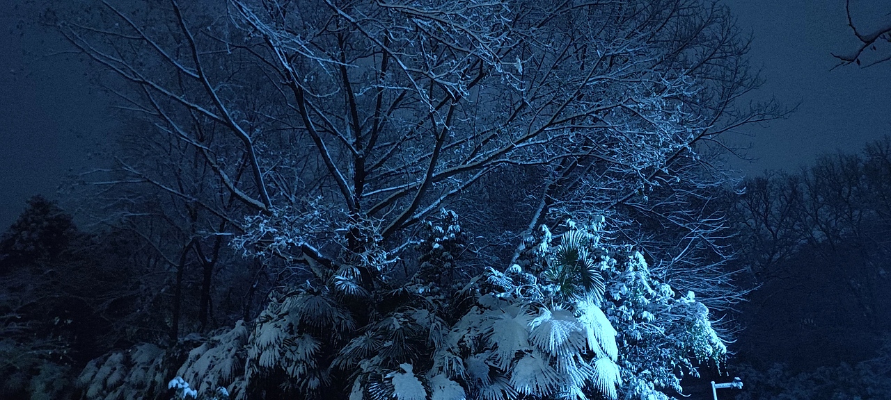 夜晚的中山陵雪景