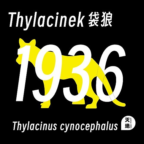 #2023 青春答卷#《白鲟》