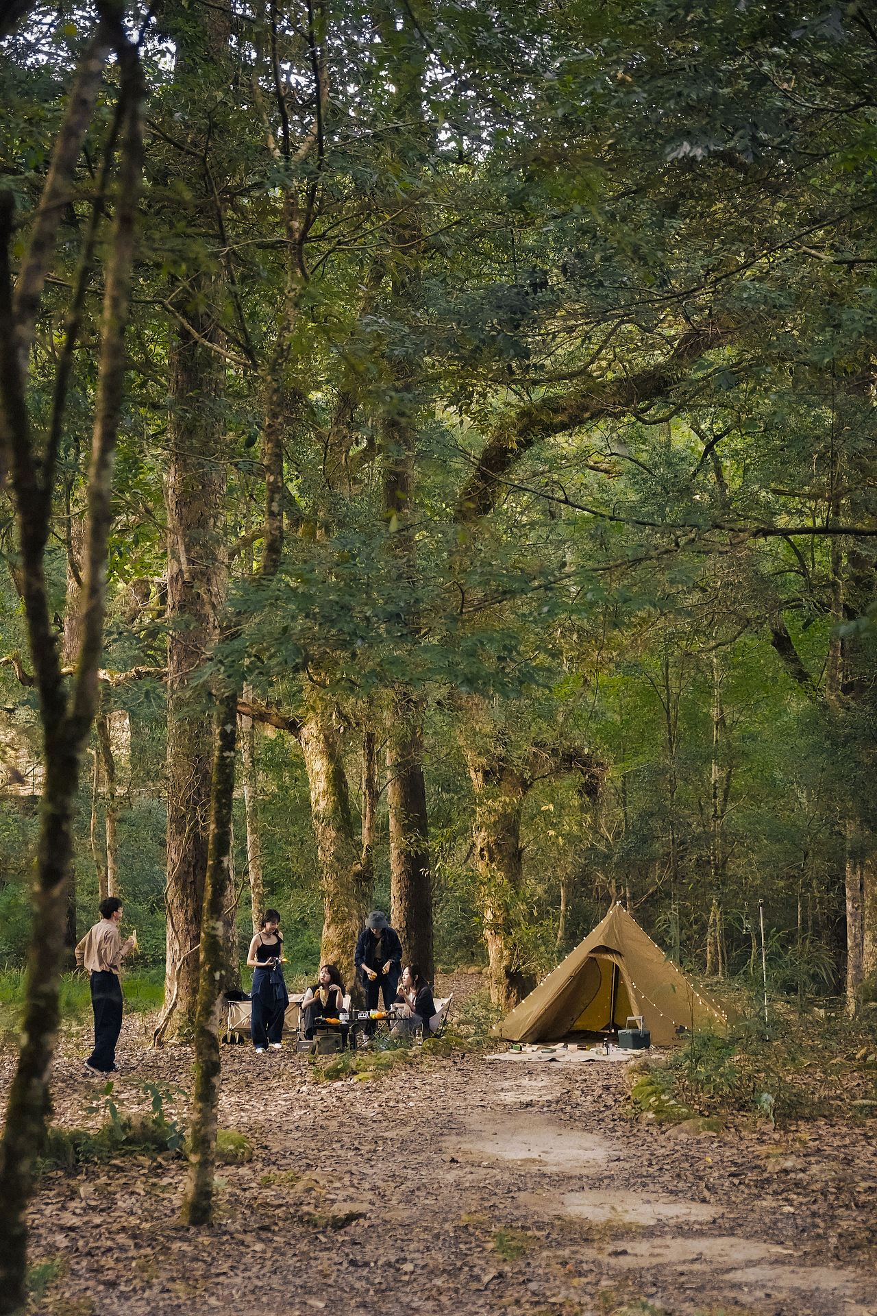 户外露营产品（图ZMzAzNTYxMjg0） - 产品摄影 - 站酷设计师生剁辣椒原创素材 - 站酷ZCOOL