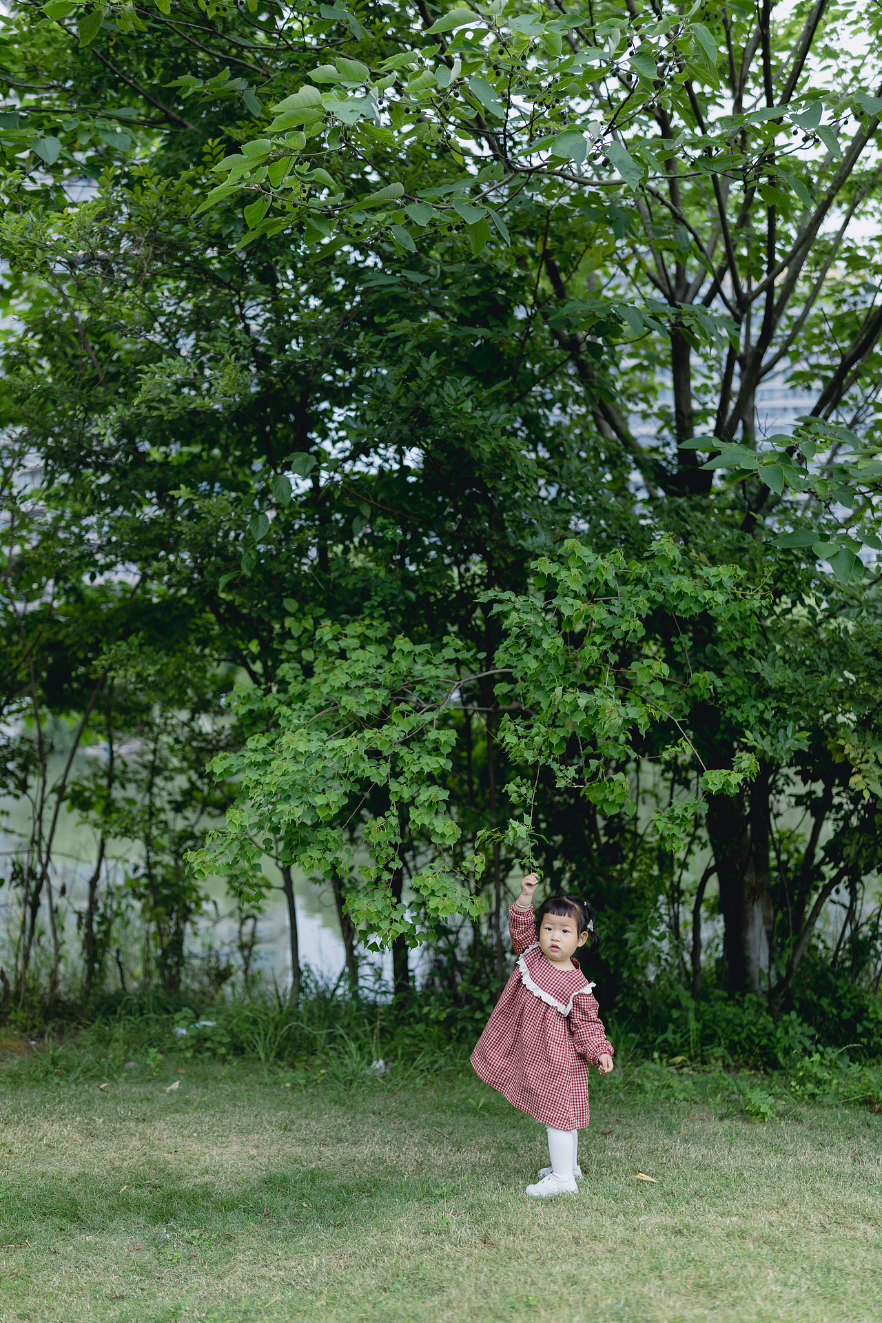 一个简单的下午