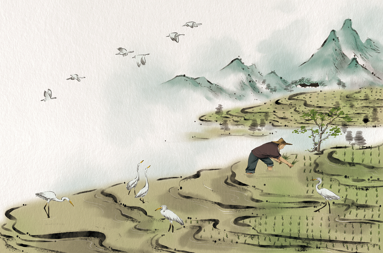 《鸟》大家小绘系列