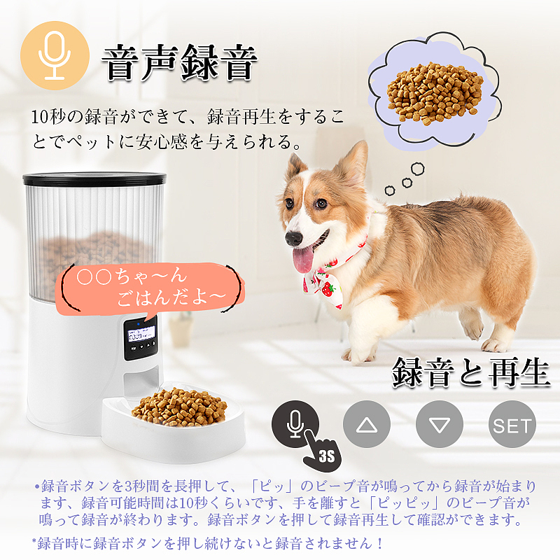  按键宠物喂食器 