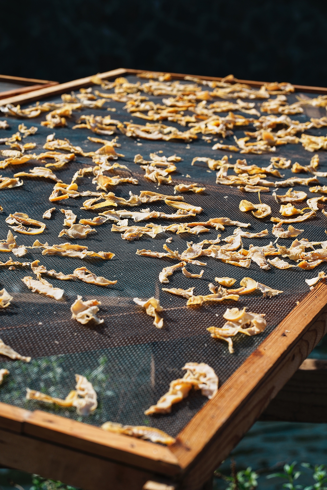 CHOICE游记摄影 I 莫干山（图ZMzY1ODU4MDI0） - 风光摄影 - 站酷设计师CHOICE窍思原创素材 - 站酷ZCOOL