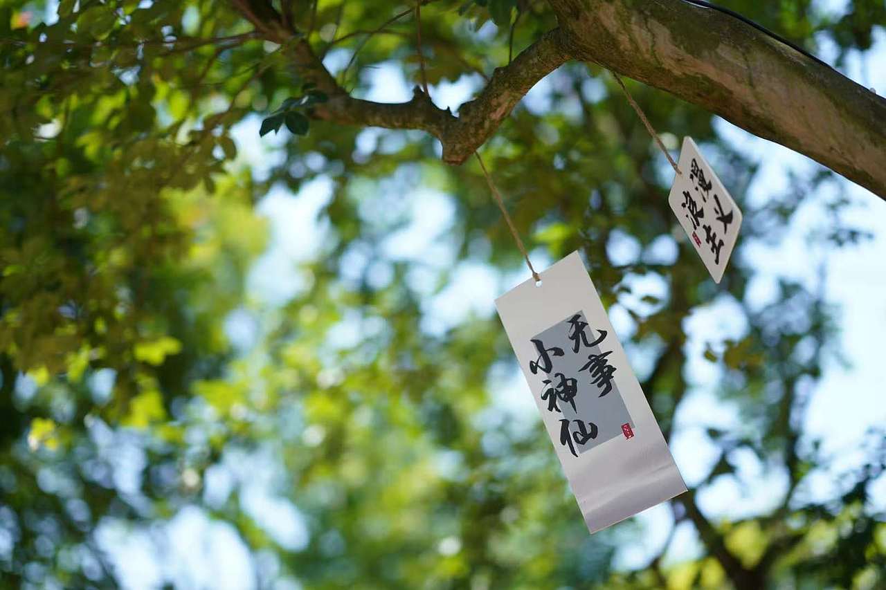 风光（图ZMzU3NjI5NjY4） - 风光摄影 - 站酷设计师税翔原创素材 - 站酷ZCOOL