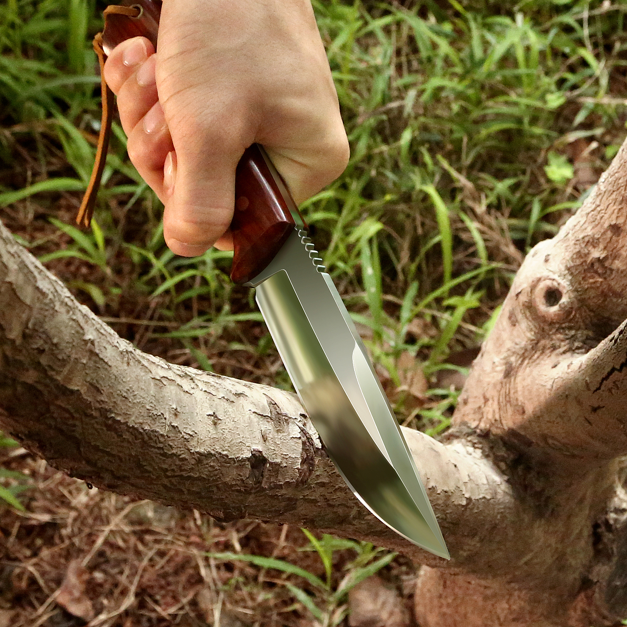 亚马逊拍摄设计/电商拍摄/刀-精修（图ZMzA3OTk4MDcy） - 其他平面 - 站酷设计师大圣u原创素材 - 站酷ZCOOL