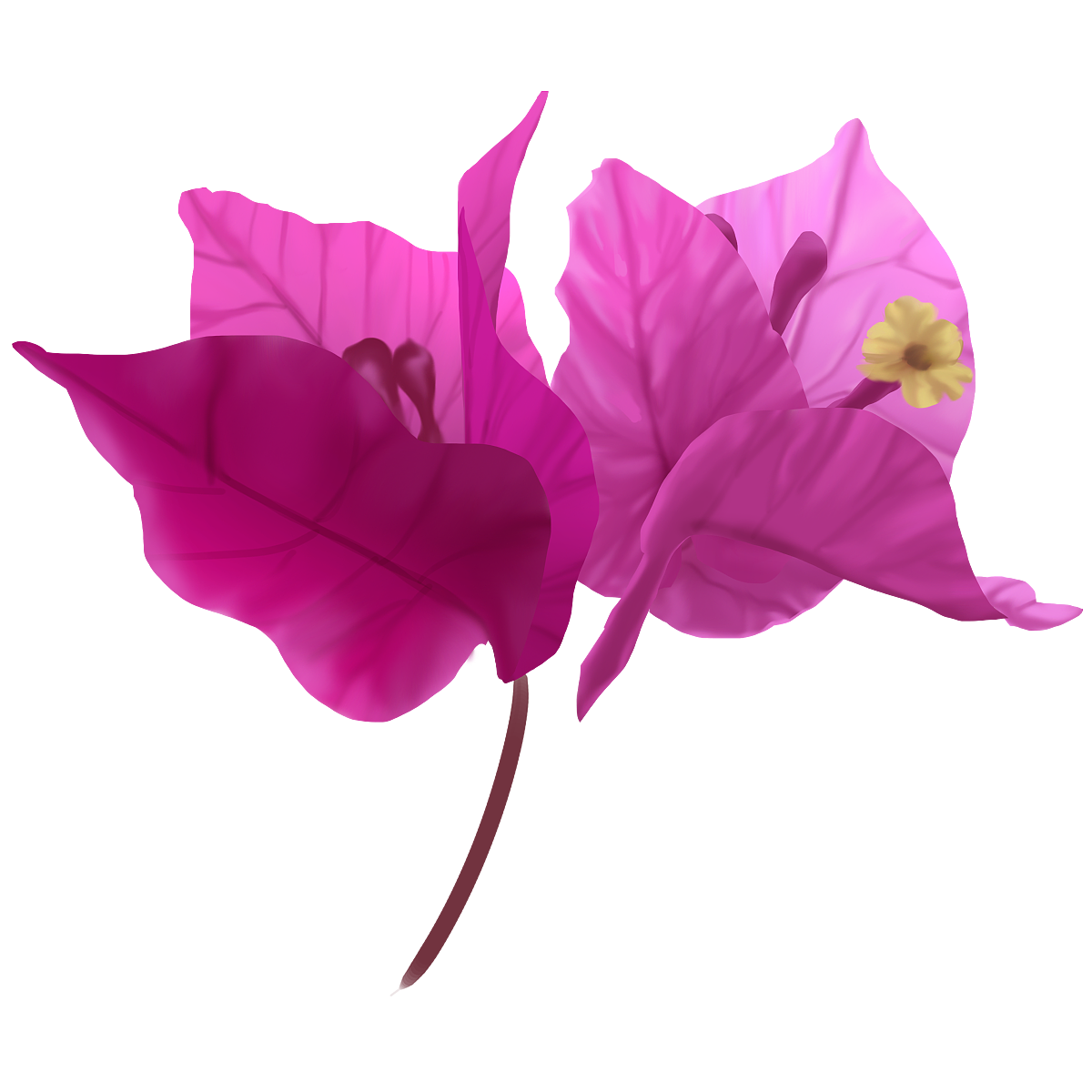 【唯美手绘】三角梅婚礼花艺，点亮你的爱情故事（图ZMzY3NjgyMzY4） - 其他平面 - 站酷设计师YHwedding原创素材 - 站酷ZCOOL