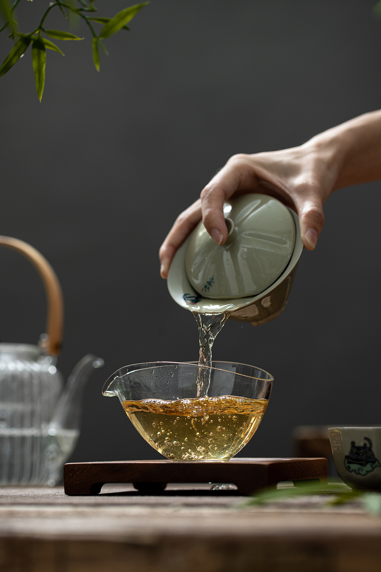 福鼎白茶-古素（图ZMzE2ODUyNTQ4） - 产品摄影 - 站酷设计师一尘不染爱干净原创素材 - 站酷ZCOOL