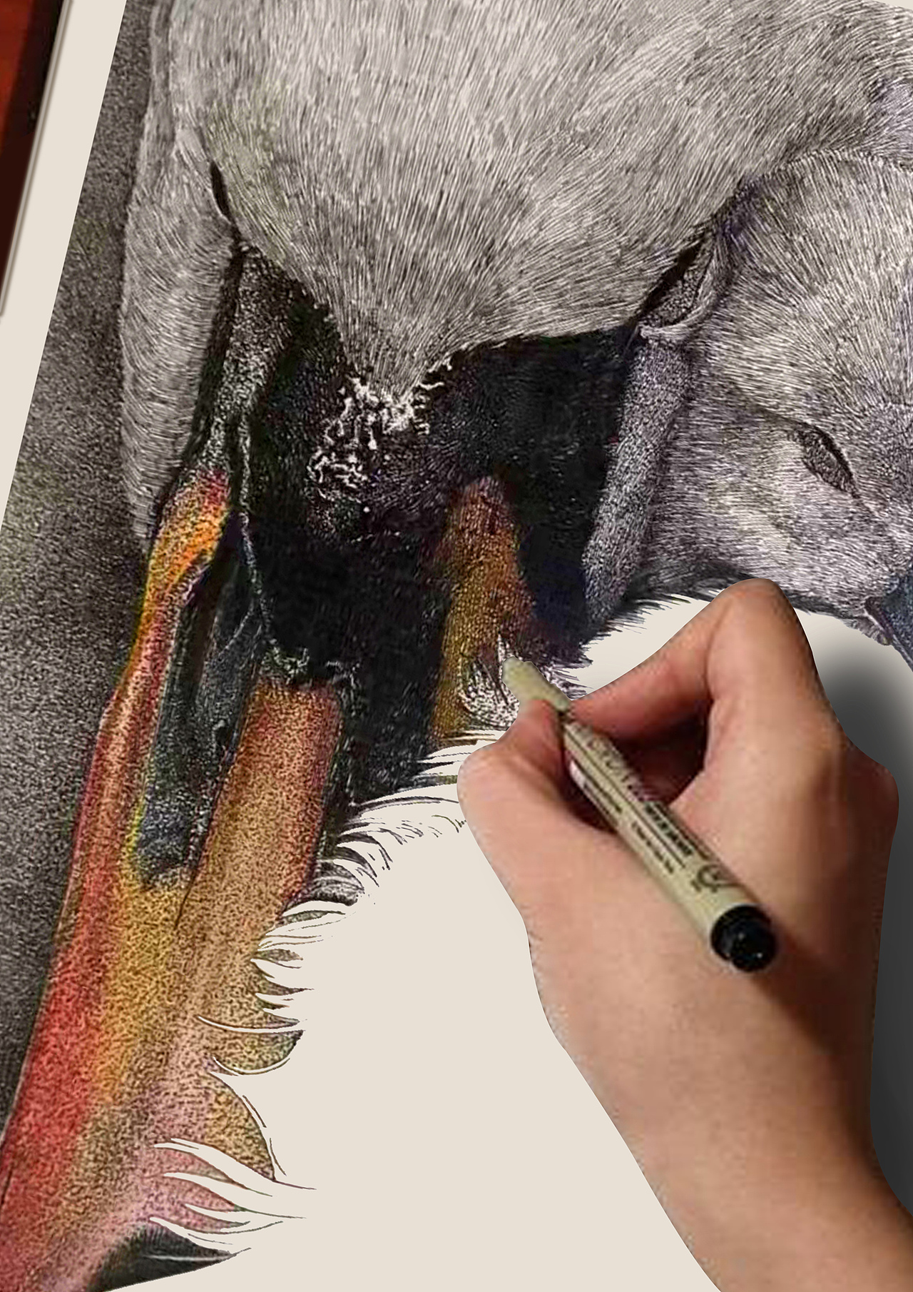 钢笔画写实——动物合集