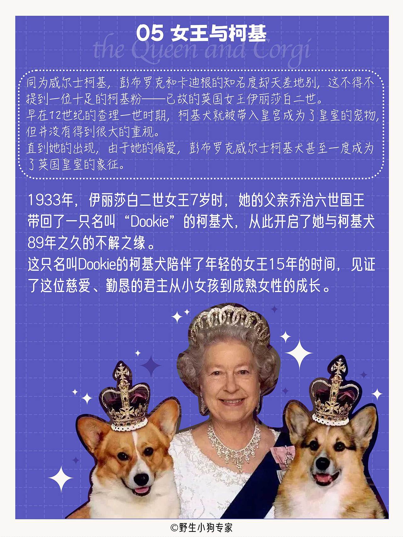 柯基犬小百科：女王与小短腿的故事（图ZMzE3MDc0OTg0） - 短篇/格漫 - 站酷设计师北北北辰beichen原创素材 - 站酷ZCOOL