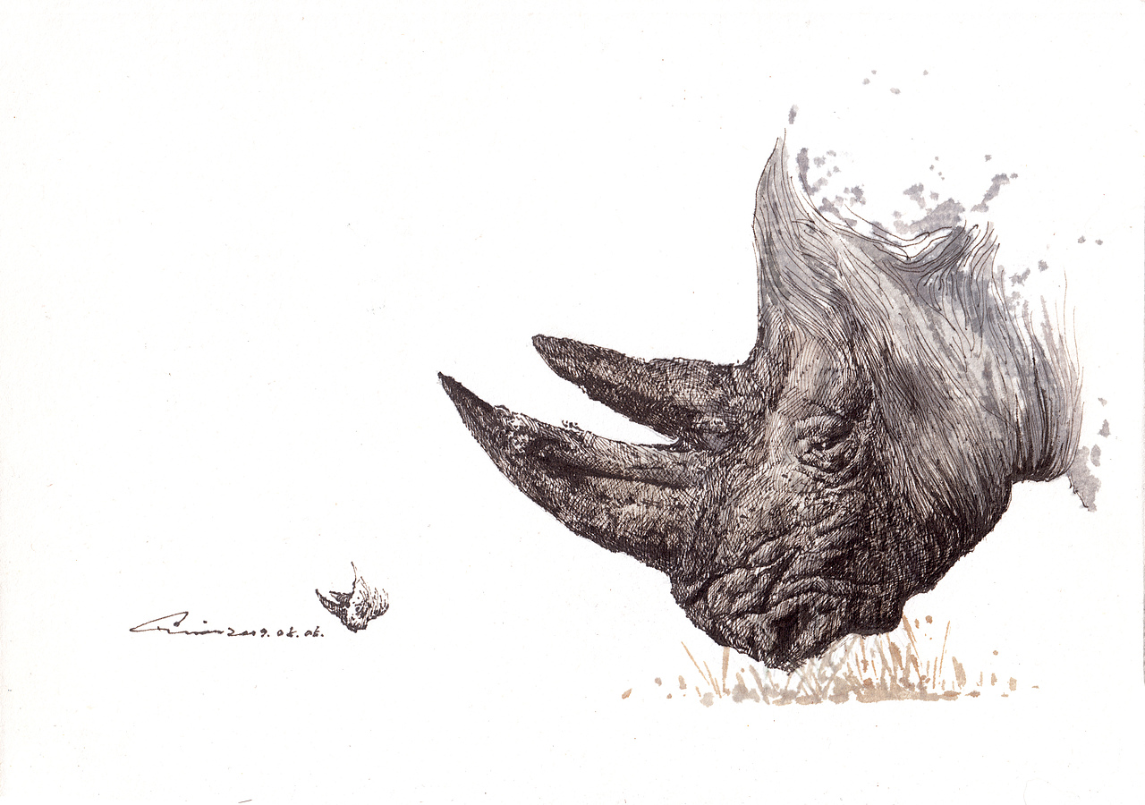 『画本系列』-我的第44本画本-日常习作