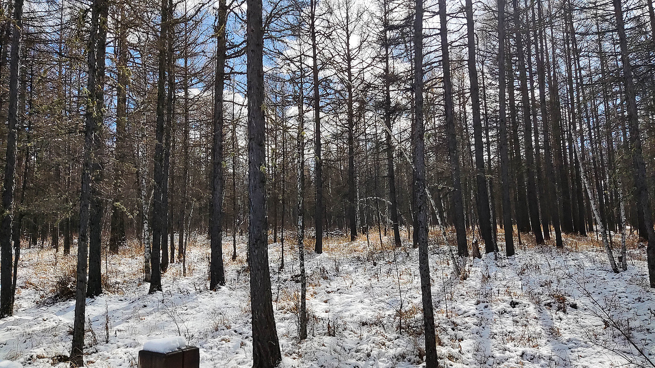 阿星和77仔 去内蒙吧!(风光篇-1)