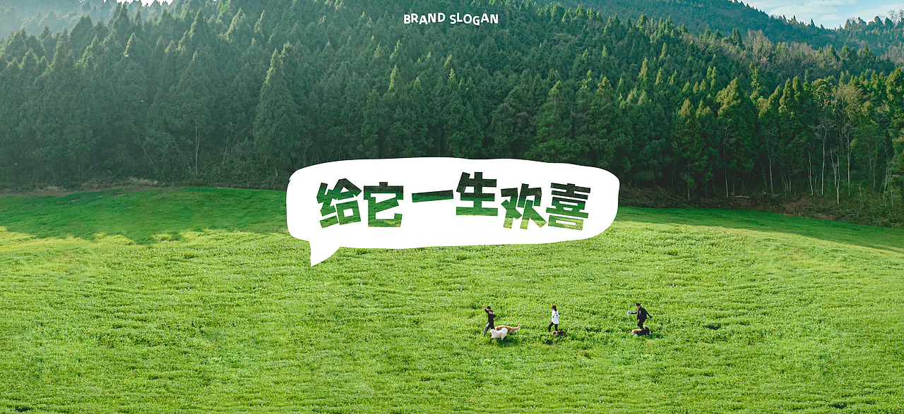 《老疯杨》宠物品牌全案设计——给它一生欢喜（图ZMzY0MjkwNTI4） - 品牌 - 站酷设计师你好大海品牌设计原创素材 - 站酷ZCOOL