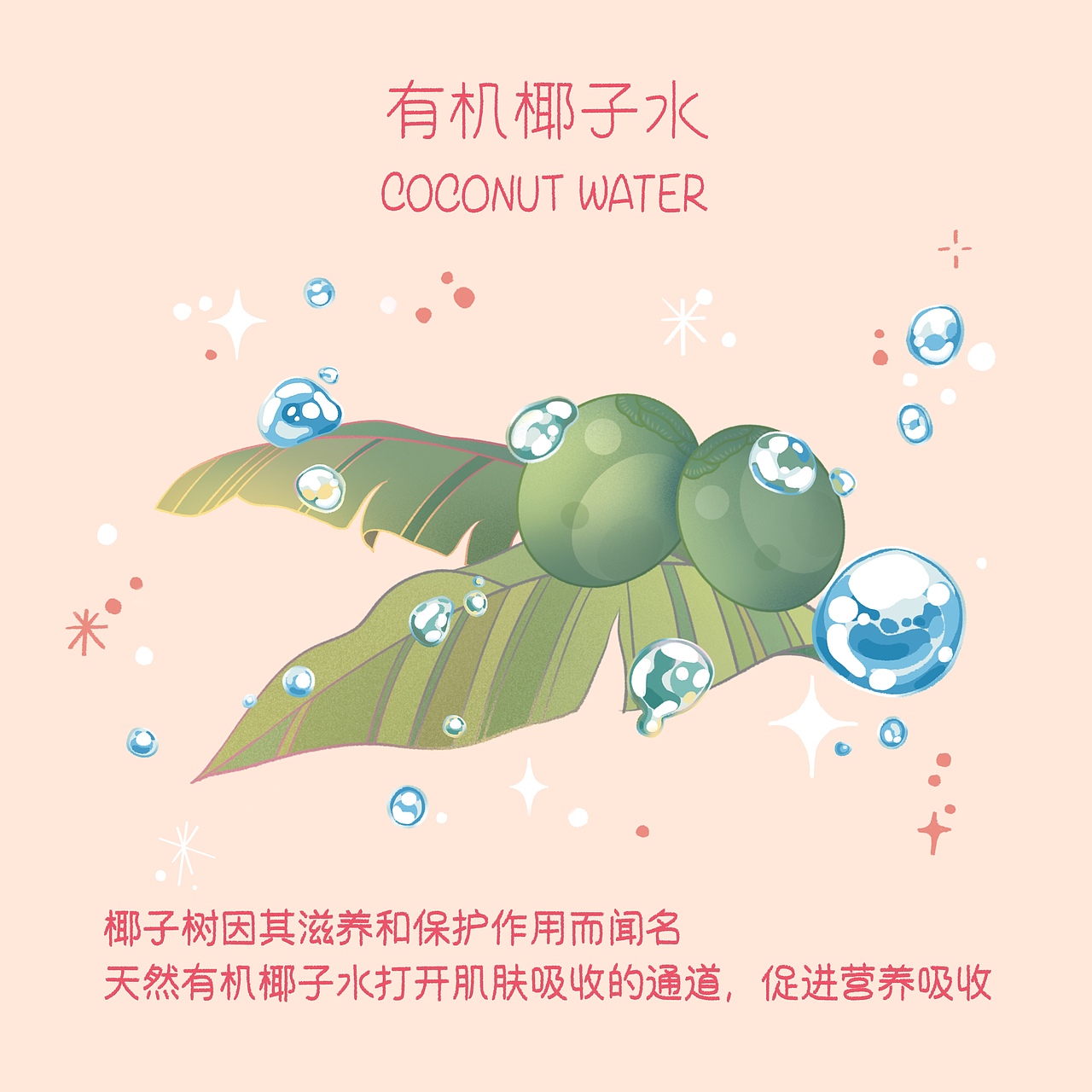 好食肌 长绽放 ｜my CLARINS 原创插画