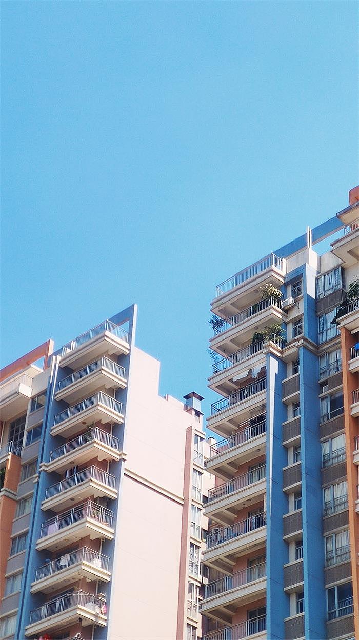 2022「手机摄影合集 」- 记录镜头下的美好瞬间