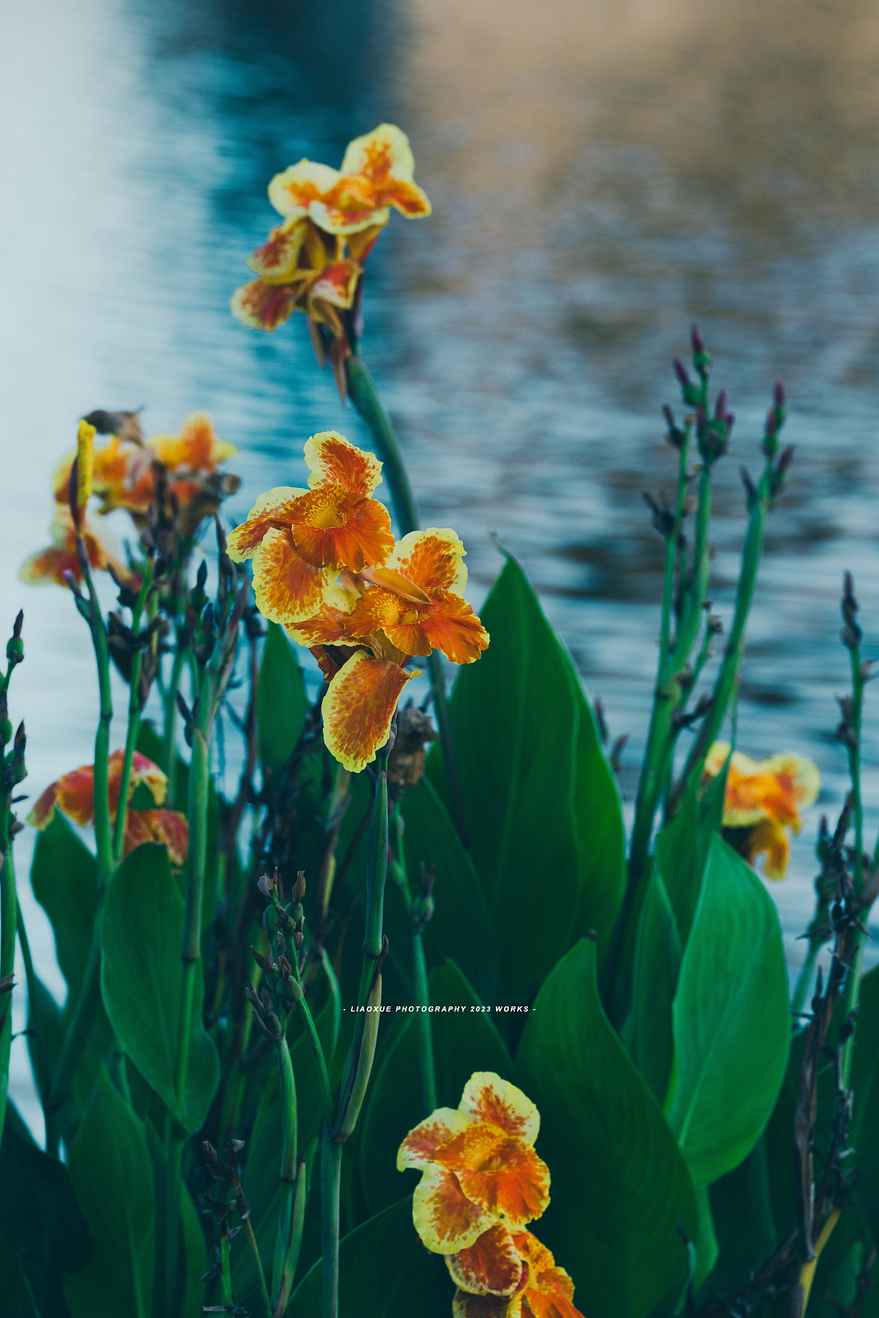 旅行摄影流水帐|镜头里的秋（图ZMzUzMDI5MjQ0） - 人文/纪实摄影 - 站酷设计师雪小廖原创素材 - 站酷ZCOOL