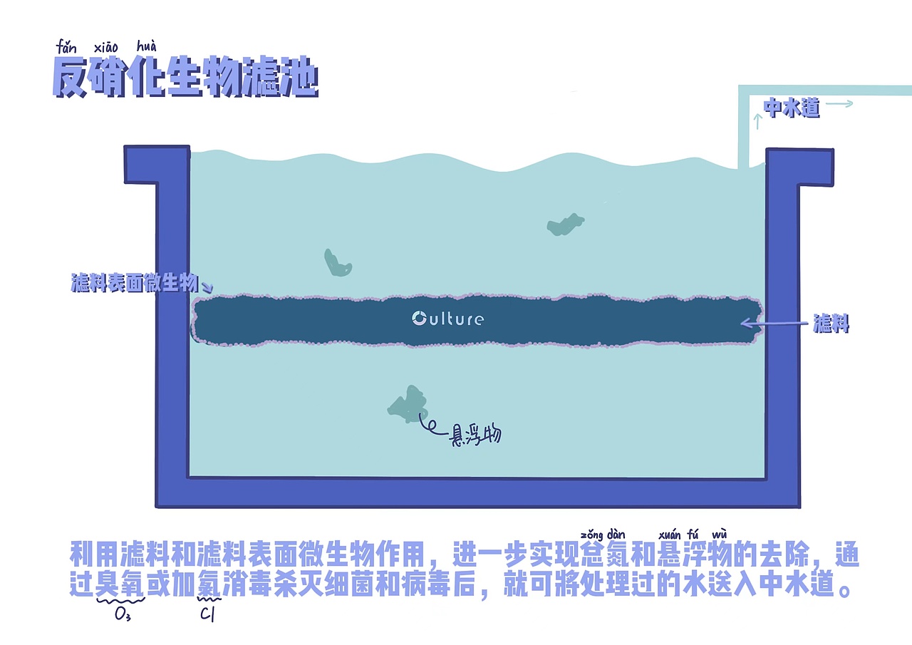 公厕文化(Public Toilet Culture)