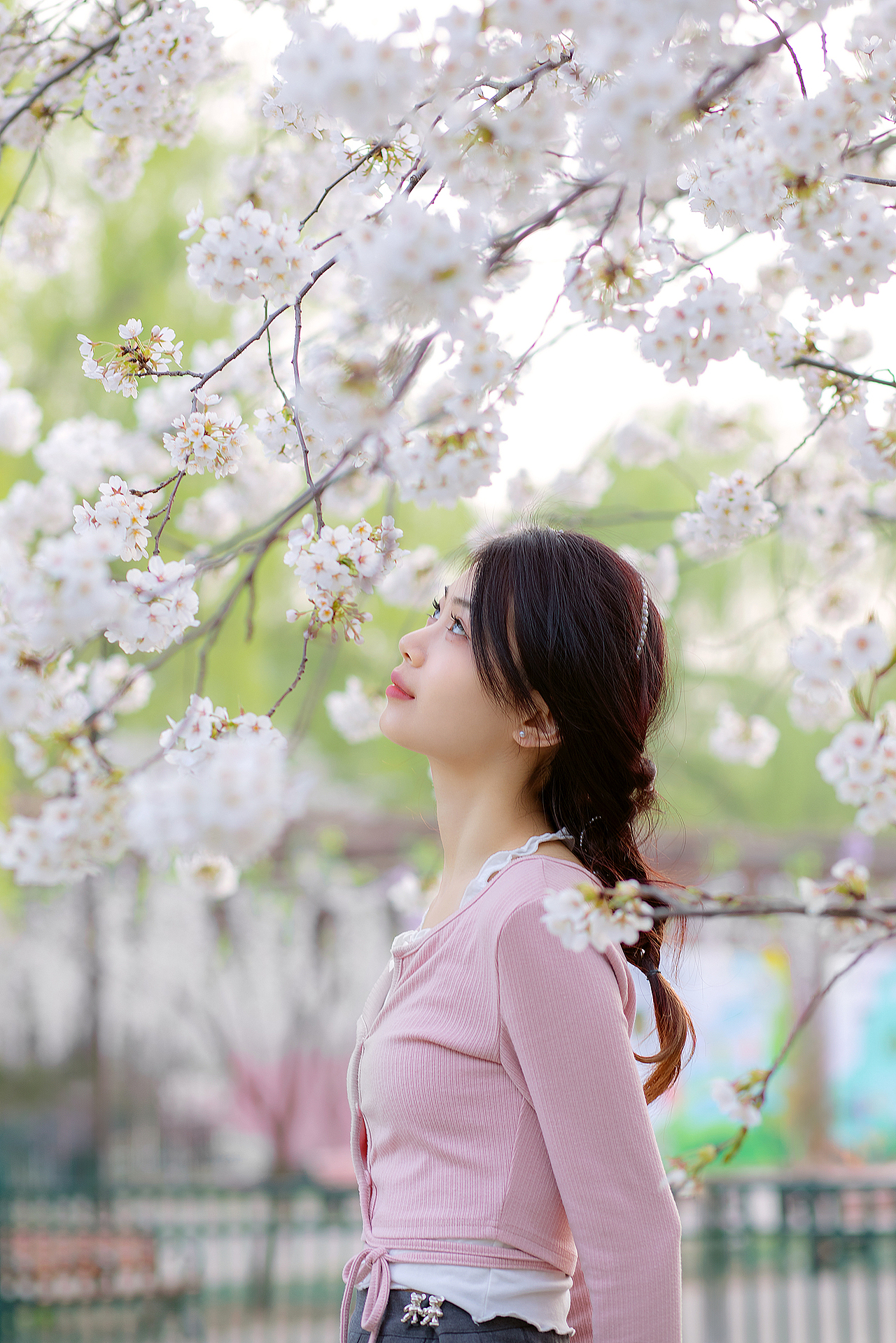 樱花烂漫时（图ZMzY3NzYwOTQ4） - 人像摄影 - 站酷设计师笔画年华原创素材 - 站酷ZCOOL
