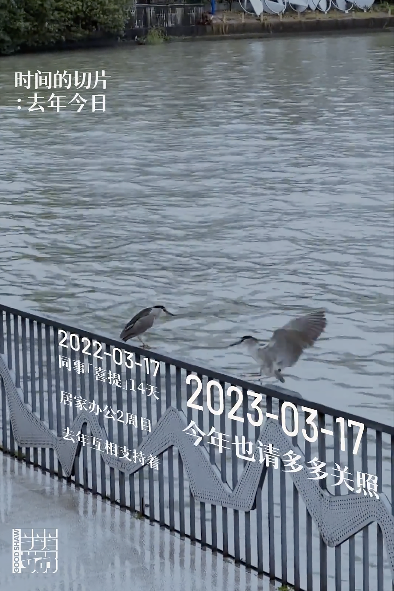 时间的切片:去年今日