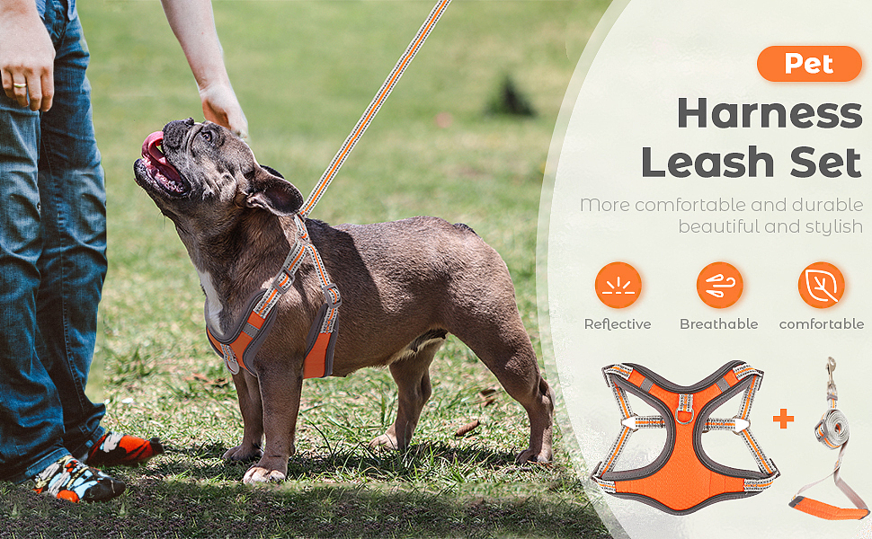 亚马逊 宠物胸背带