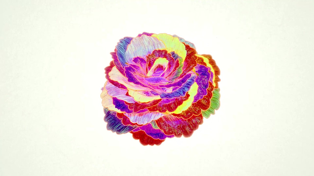 POLA母亲节动画广告：插画质感×立体光影（图ZMzY4NzE1MjA4） - 动画/影视 - 站酷设计师释开达原创素材 - 站酷ZCOOL