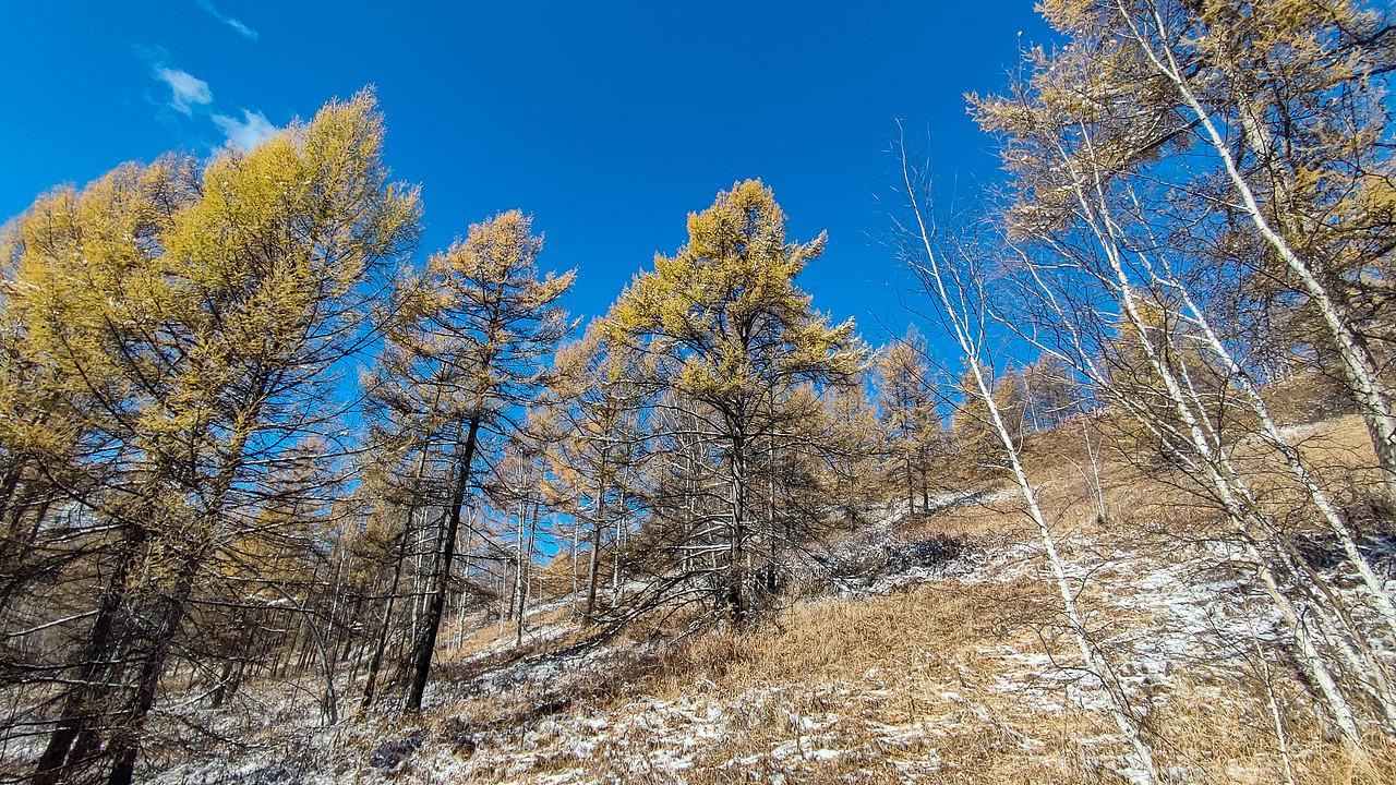 阿星和77仔 去内蒙吧!(风光篇-1)