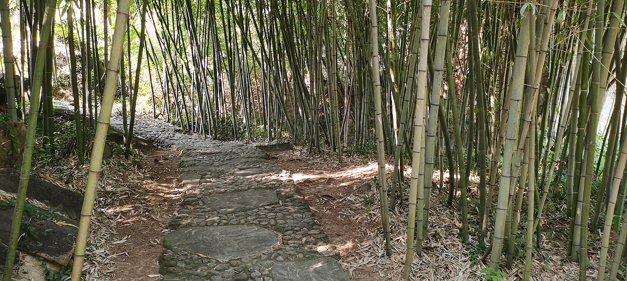 日 与月 与云 与草 与林 与山海 还有花