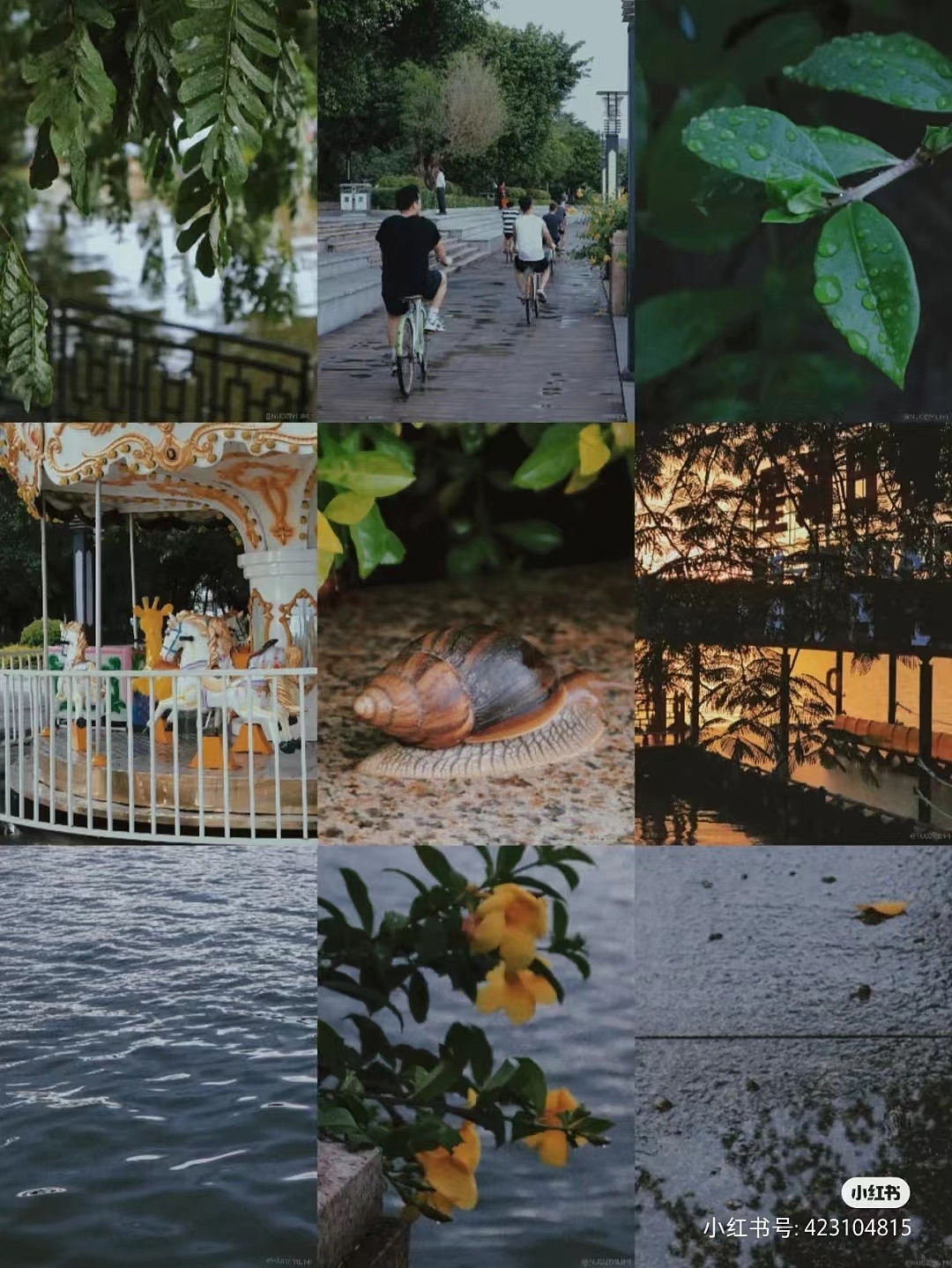 个人作品集——摄影作品