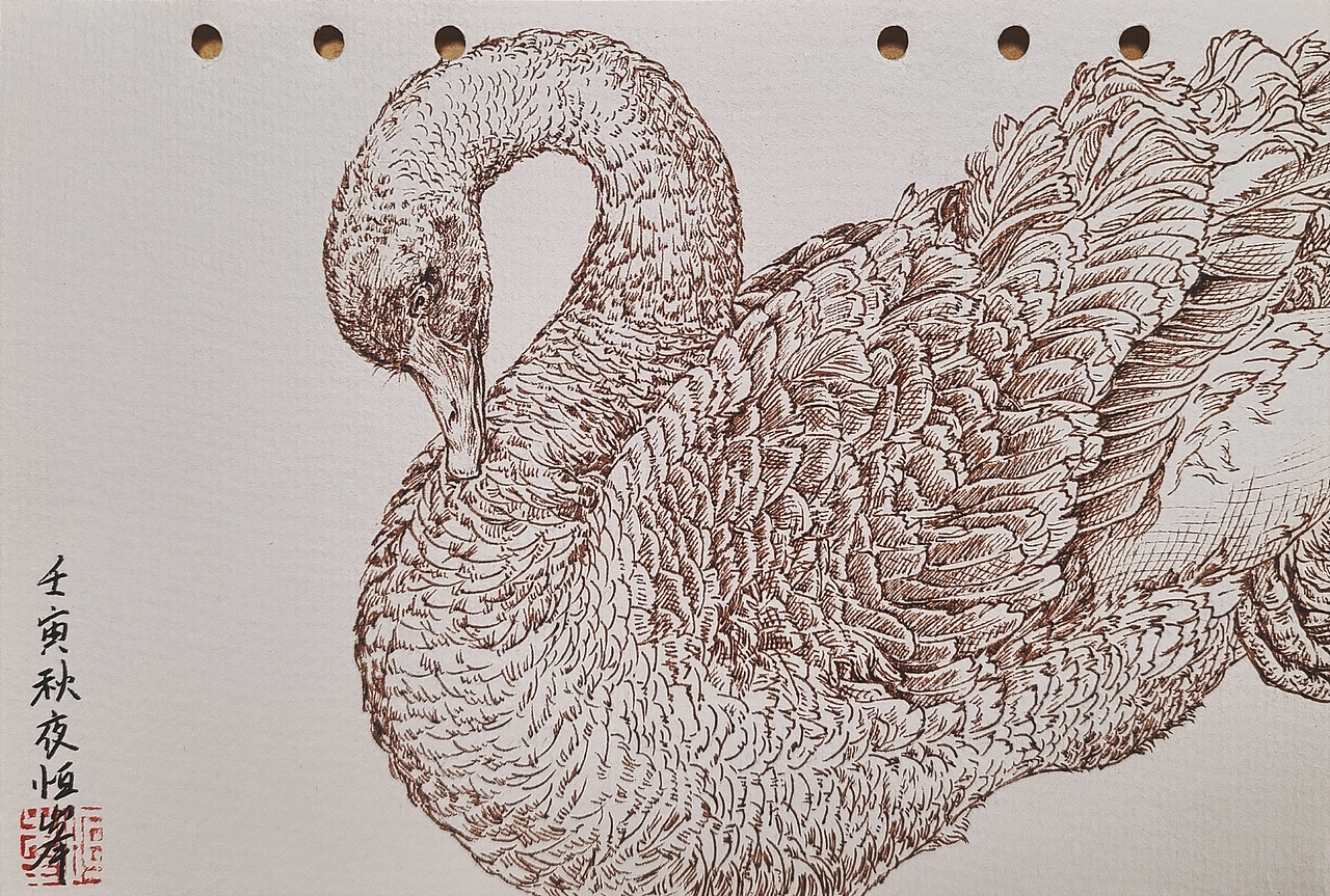 针管笔绘画(动物)