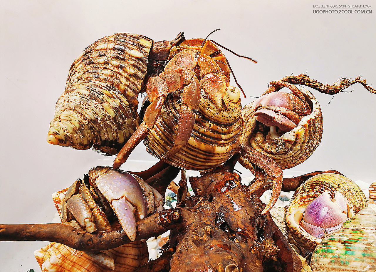 手机摄影些些【1】