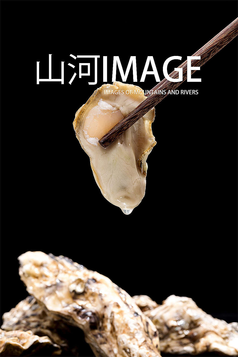 生蚝跟海蛎子是一种么？