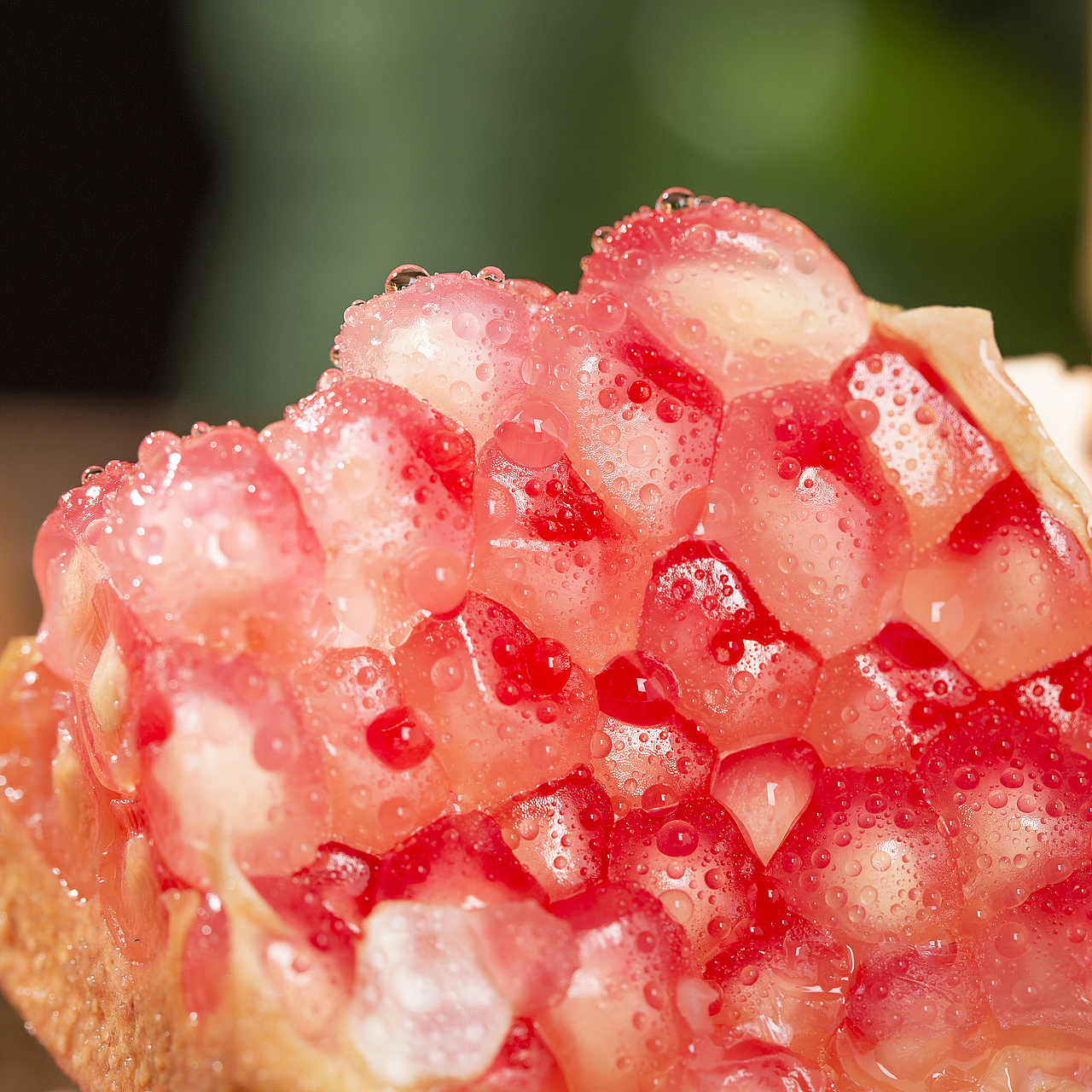 四川突尼斯红钻软籽石榴